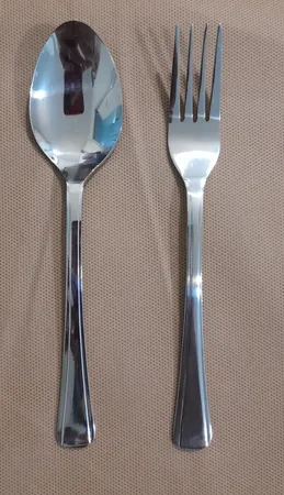 سرویس قاشق و چنگال 12 پارچه صنایع استیل ایران مدل مونزا کد 101