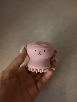 برس پاک‌سازی مدل B 0101