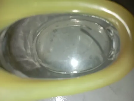 عینک شنا ویو کد G1198NE