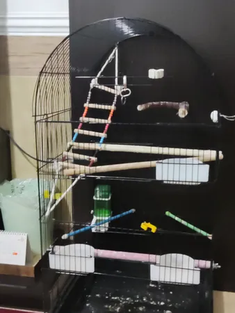 قفس عروس هلندی مدل 1034