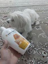 تجریه خرید شامپو سگ و گربه پرسا مدل Honey وزن 500 گرم