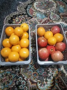 تجریه خرید سبد نگهدارنده مرسه کد 1089 بسته 2 عددی