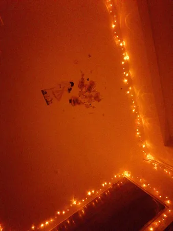 ریسه ال ای دی کد 25025 طول 25 متر