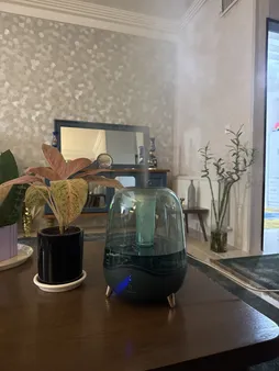 دستگاه بخور سرد درما مدل F329