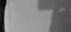 تجریه خرید توالت فرنگی ناصر پلاستیک مدل Nas33