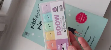 ماژیک علامت گذار مدل قاب دار طرح خرس کد 01  بسته 6 عددی