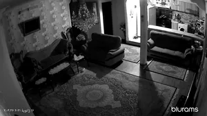 تجریه خرید دوربین تحت شبکه بلورمز مدل A11