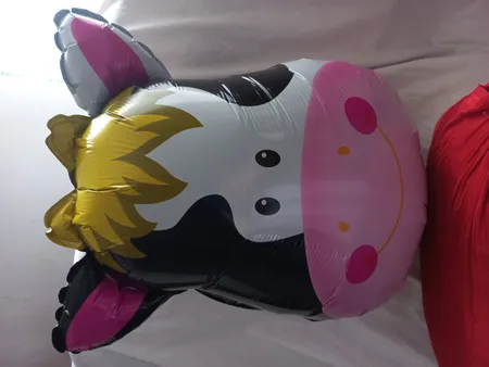 مجموعه 74 عددی تم تولد مستر تم طرح حیوانات جنگل کد 4