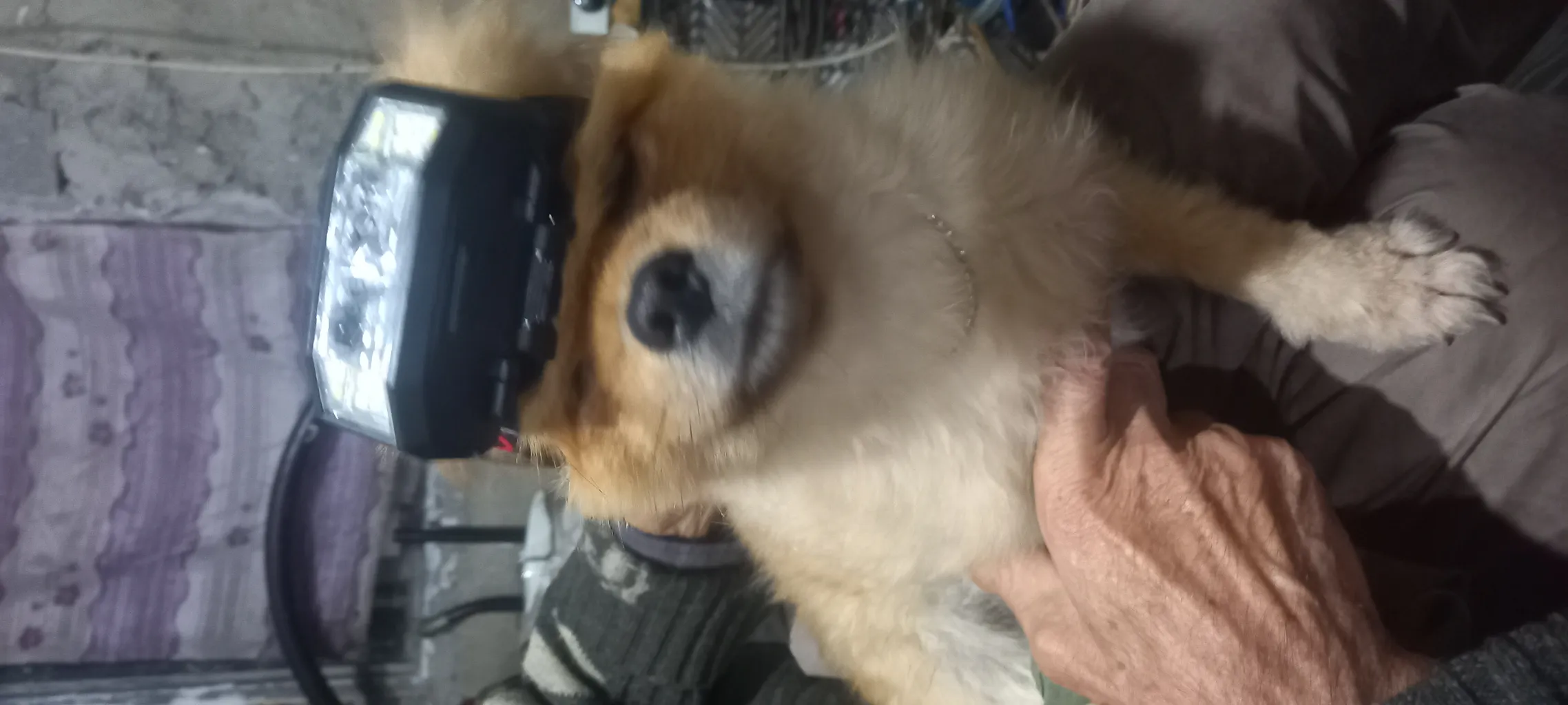 چراغ پیشانی مدل JS-910A SENSOR