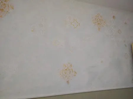 خمیر تکسچر وستا مدل TKSB وزن یک کیلوگرم