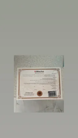 غذاساز سوئیس پلاس مدل SBM-330