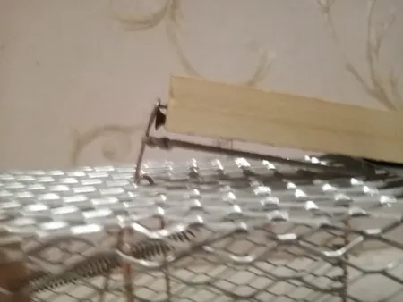 تله موش مدل قفسی