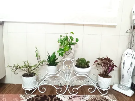 استند گلدان مدل فلوریا