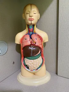 تجریه خرید بازی آموزشی طرح مولاژ نیم تنه انسان مدل ASM06