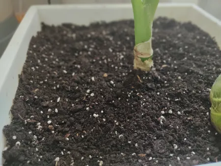 خاک برگ گیلدا کد GB12L حجم 12 لیتر