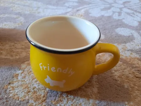 ماگ رجینال کد 1