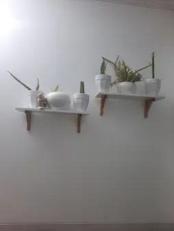 شلف دیواری سنجاب وود مدل sw14