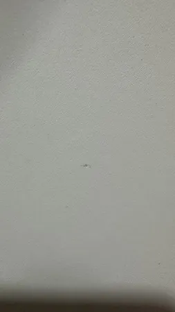 دراور مدل مودنا کد Winika-SD-5K-S12