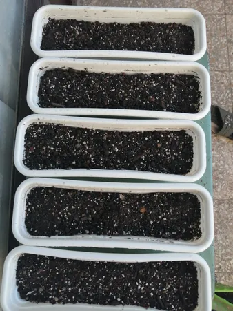 خاک گلدان سورین خاک مدل G20 حجم 20 لیتر