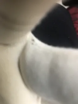 دستکش مدل نخی K-F