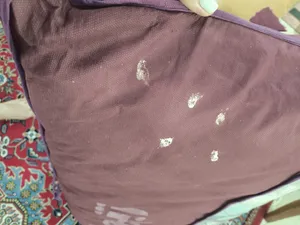 تجریه خرید تشک مهمان ژینورا مدل پرناز سایز 175x80 سانتی متر