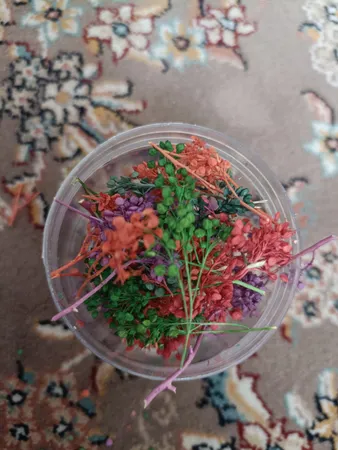 گل خشک مدل رزین اپوکسی مینیاتوری مجموعه 4 عددی