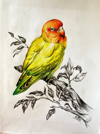 مداد رنگی 60 رنگ فابر کاستل مدل classic