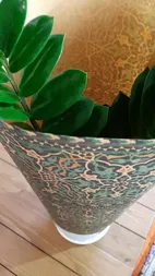 گیاه طبیعی زاموفیلیا گرین لایف مدل P1003