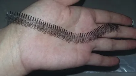 مژه مصنوعی مدل 01