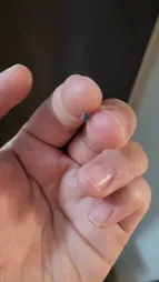 پیرسینگ بینی زنانه پایتخت مدل PS549_A