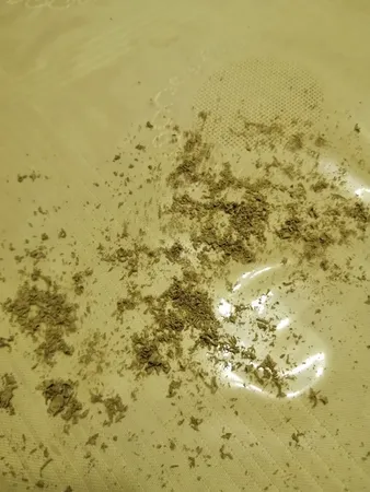 پازل 1000 تکه فاکس پازل طرح تالار روم مدرن کد 62400