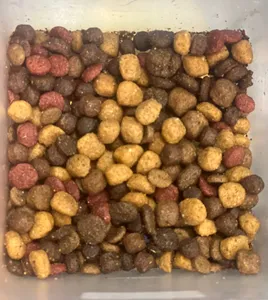 تجریه خرید غذای خشک سگ سلبن مدل عقیم شده وزن 2 کیلوگرم