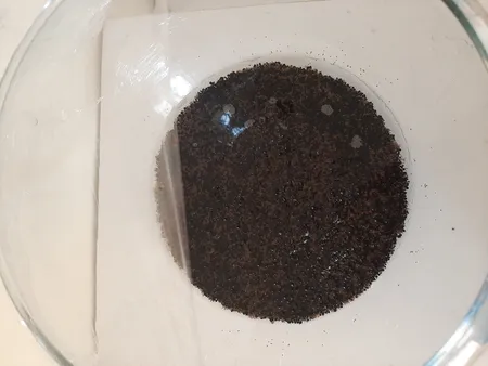 بذر پلنت آکواریوم مدل چمن ریز کوبایی