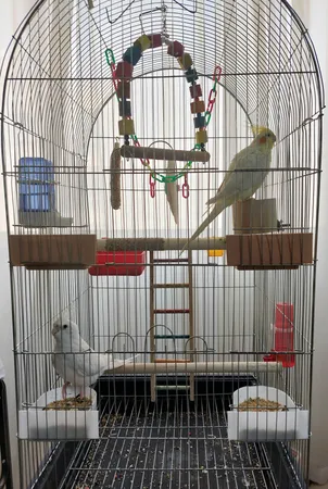 قفس عروس هلندی مدل 1034