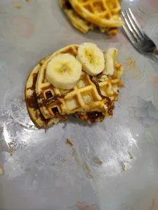 تجریه خرید وافل ساز سانیز مدل مینی سانی