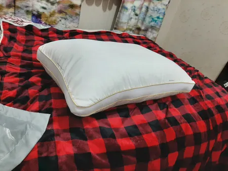 بالش هکزیکو مدل AMMIQUE بسته 2 عددی