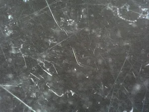 تجریه خرید میکروسکوپ دیجیتال مدل 1000X