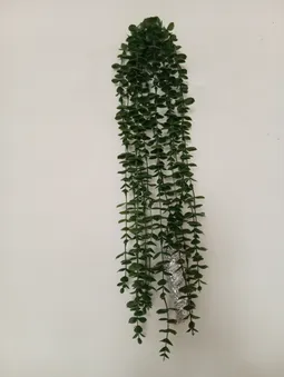 گل مصنوعی مدل آویز شمشاد پا کوتاه