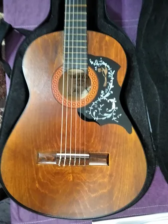 گلپیدور گیتار مدل FD30