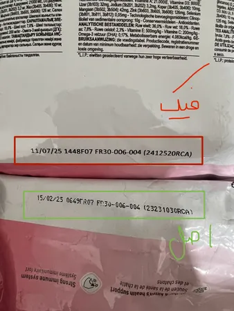 غذای خشک بچه گربه رویال کنین  مدل Kitten  وزن 2 کیلوگرم