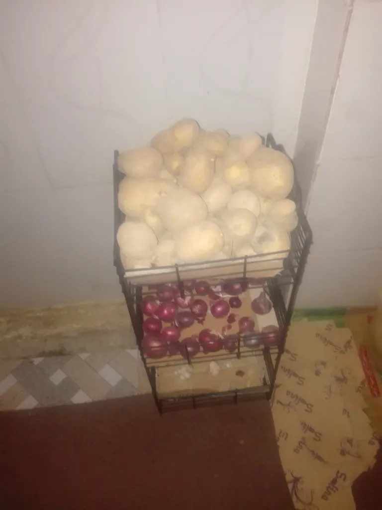 سبد سیب زمینی و پیاز شکیبا مدل PO3