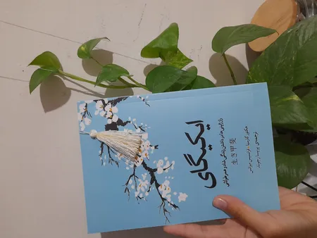 کتاب ایکیگای اثر فرانسس میرالس و هکتور گارسیا انتشارات آیین محمود