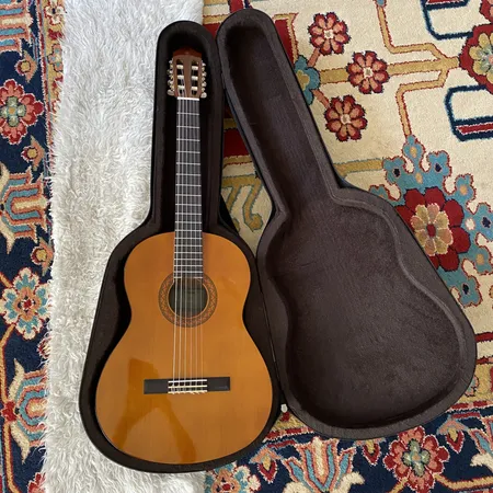 هارد کیس گیتار کلاسیک پلاس مدل Black