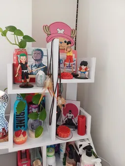 کتابخانه رومیزی مدل کاکتوس