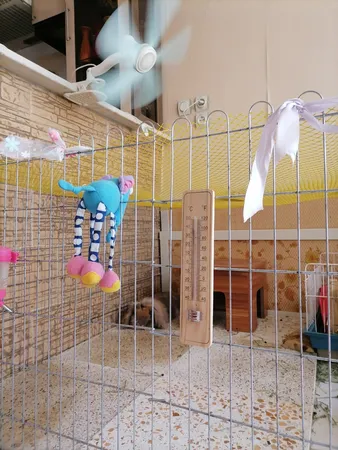 دماسنج محیط مدل چوبی