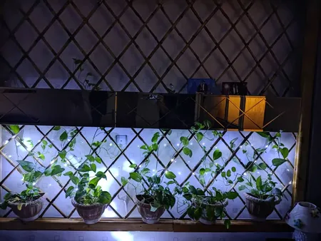 ریسه ال ای دی مدل USB10 طول 10 متر