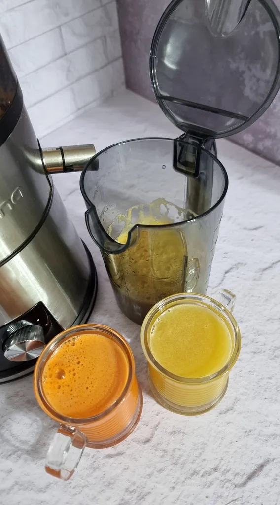 آبمیوه‌گیری چند کاره ساینا مدل دیجیتال