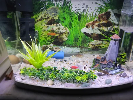 گیاه تزیینی آکواریوم مدل چمن خطی مونت کارلو