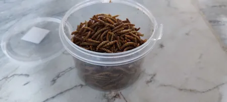 غذای ماهی و لاک پشت فود فارمز لند مدل میلورم وزن 50 گرم