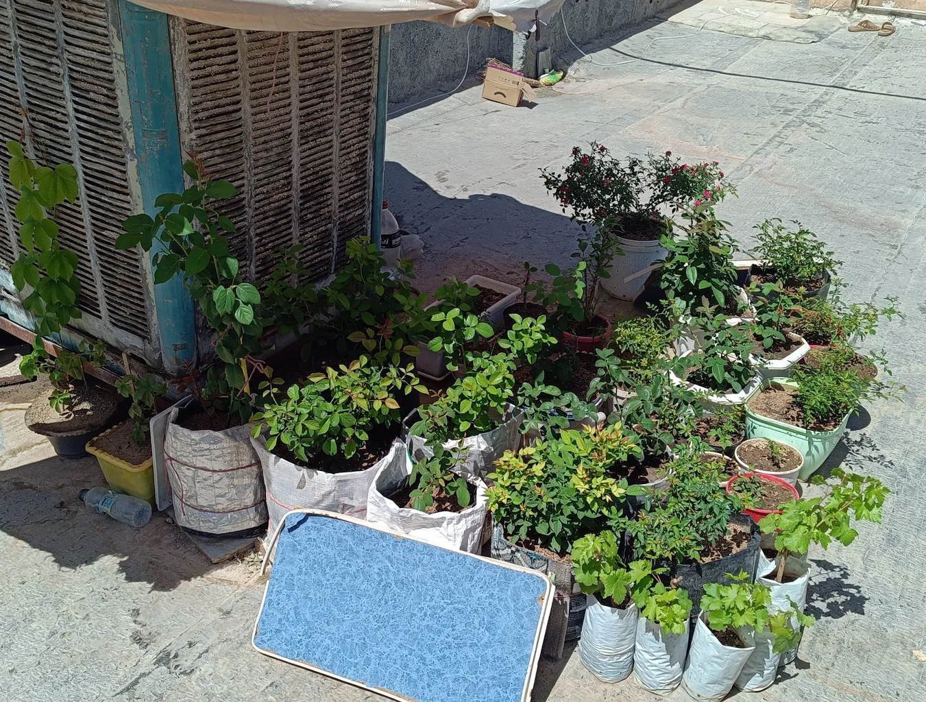 خاک گلدان گیلدا کد GK30L حجم 30 لیتر